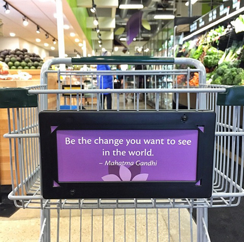 Be the Change You Wish to See In the World - Grocery Cart Wisdom