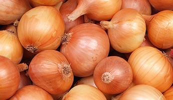 onions_sm.jpg