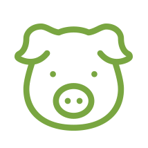 pig-icon.png