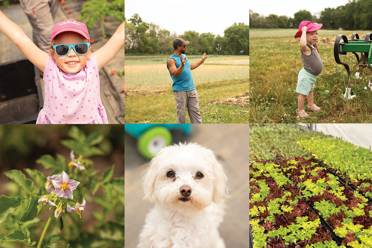 garden-oasis-collage2.jpg