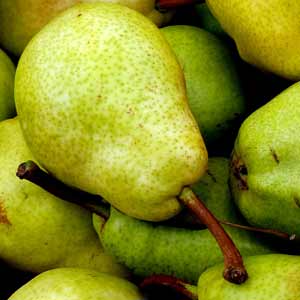 Pears