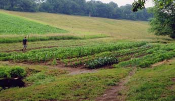 silt_sustainable-iowa-land-trust.jpg