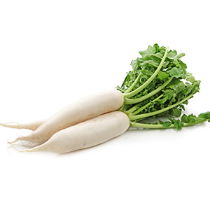 daikon-radish.jpg