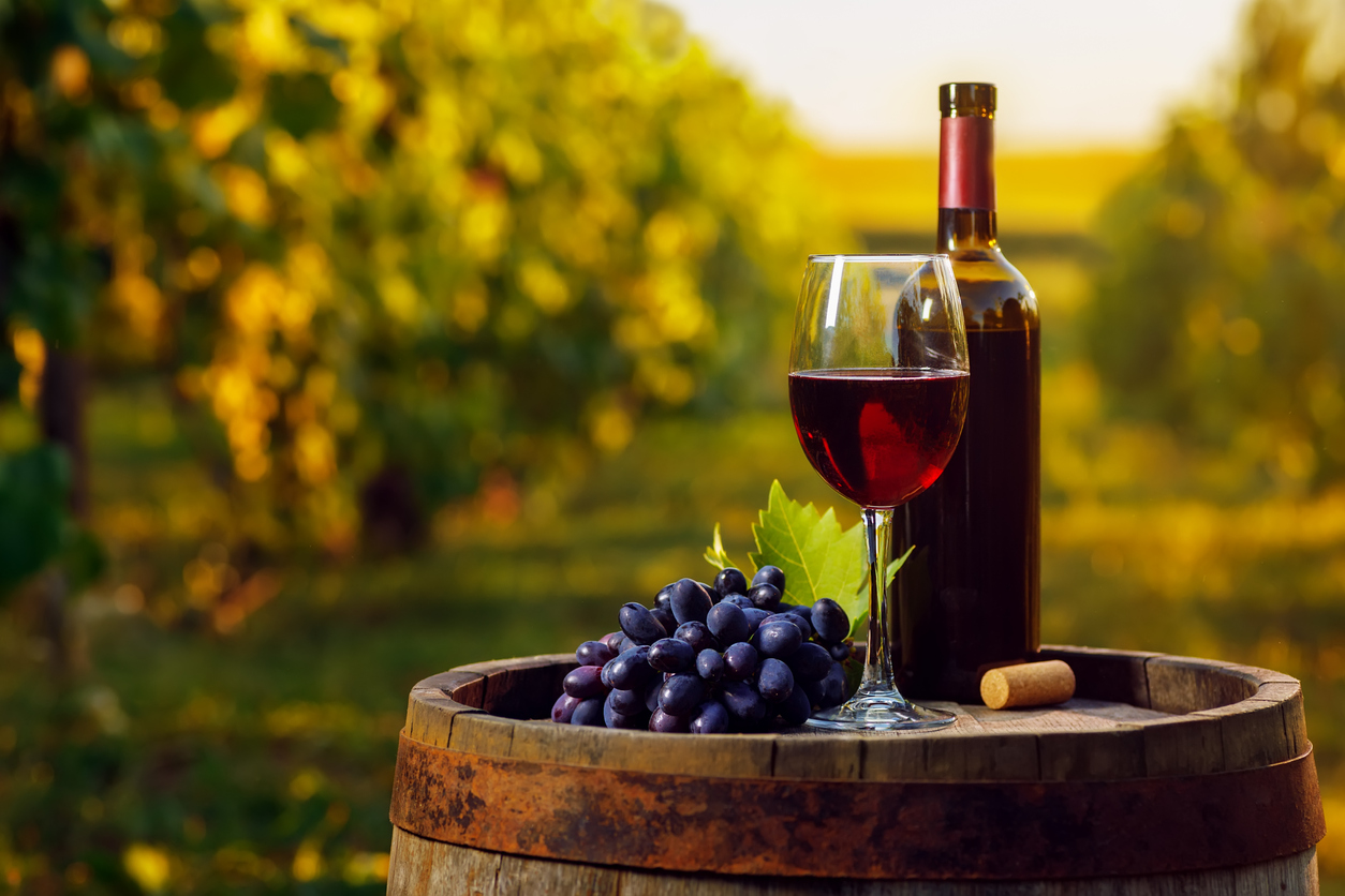 wineglass-vineyard.jpg