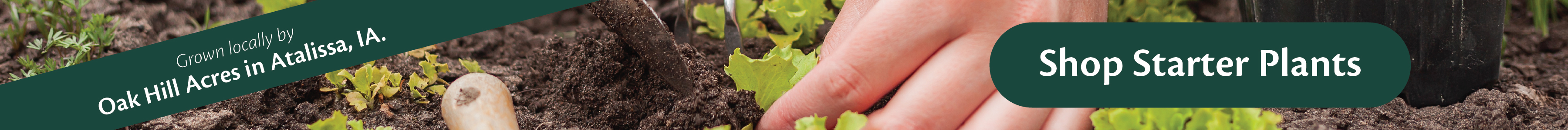 Plant Starters_Graphics_Home Page Long Banner.jpg