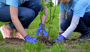 tree-planting.jpg