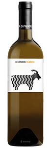 falanghina.jpg