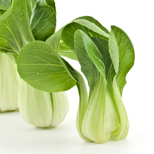 bok-choy.jpg