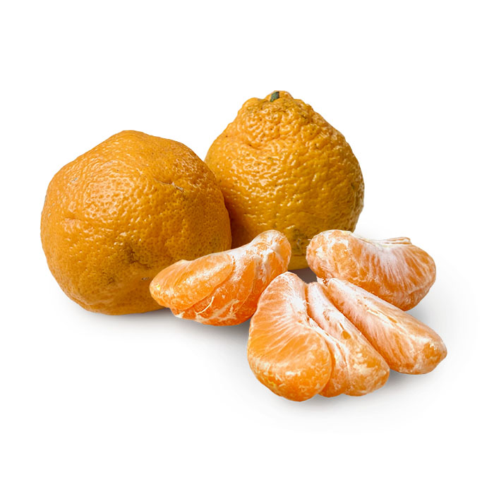 satsuma-mandarins.jpg