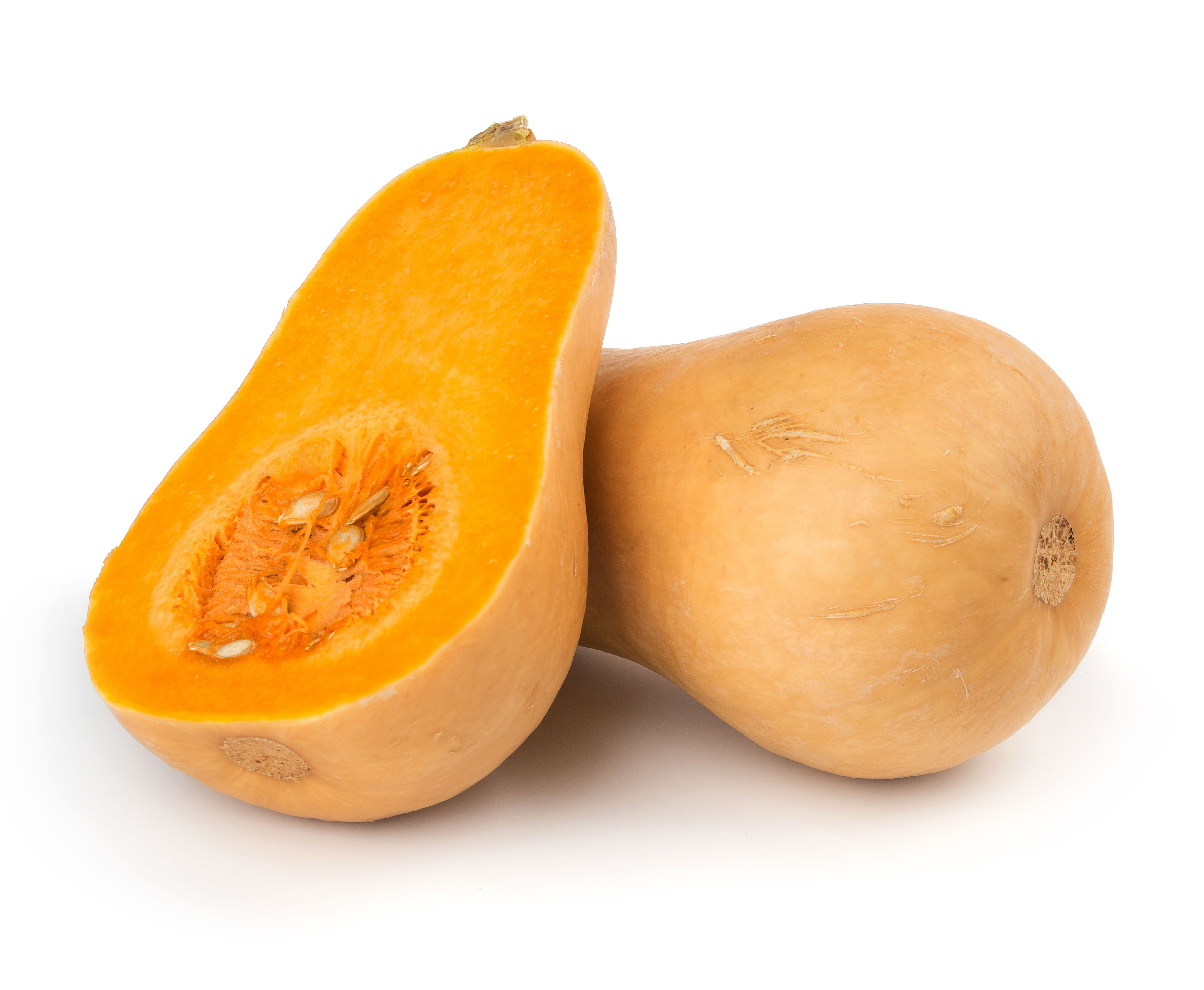 butternut-squash_2.jpg