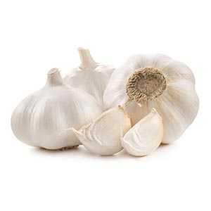 garlic.jpg