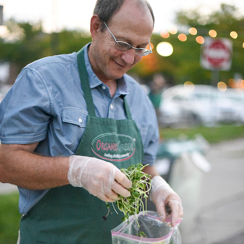 Iowa grown produce from James, Organic Greens Sprouts