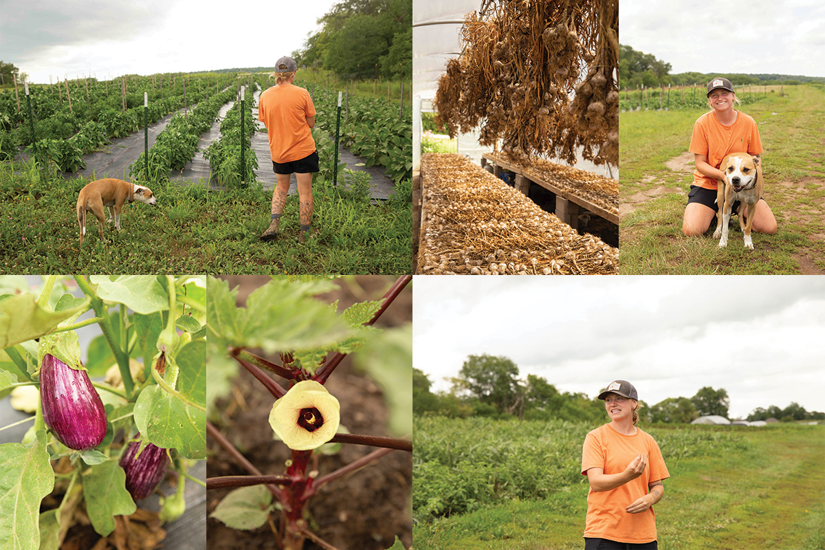 rainbow-roots-collage.jpg