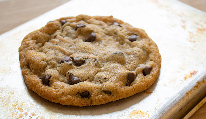 Vegan Chocolate Chip Cookie