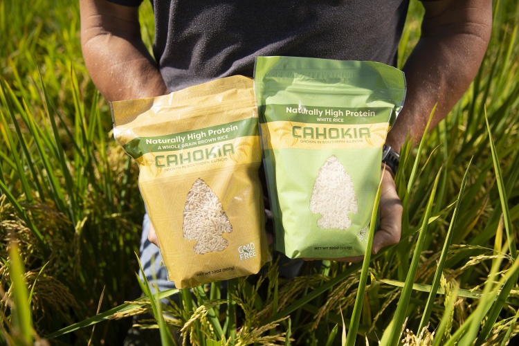 Cahokia Rice