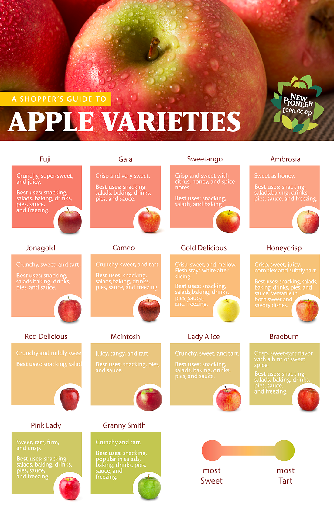 Apple Varieties Poster.png