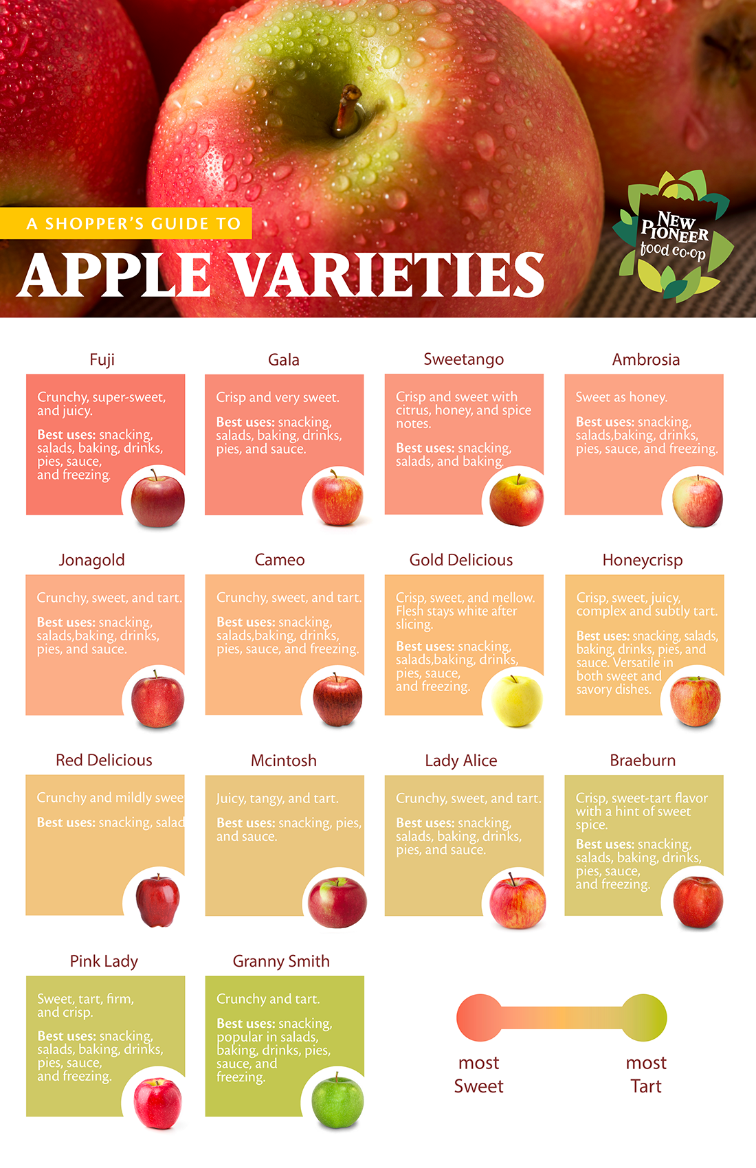 A Guide to Apples and How to Enjoy Them