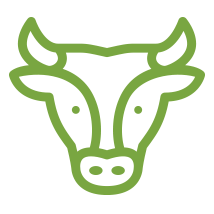 Cow Icon