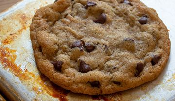 cookie_sm copy.jpg