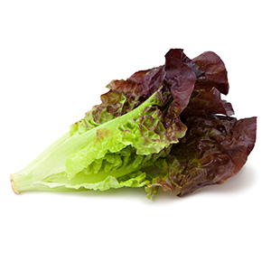 red-lettuce.jpg