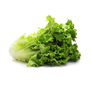 lettuce.jpg