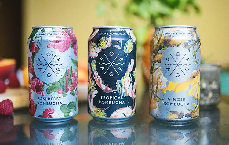 Forage Kombucha Cans