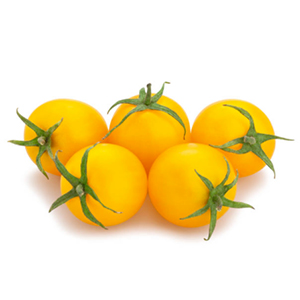 sungold-cherry-tomatoes.jpg